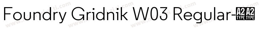 Foundry Gridnik W03 Regular字体转换